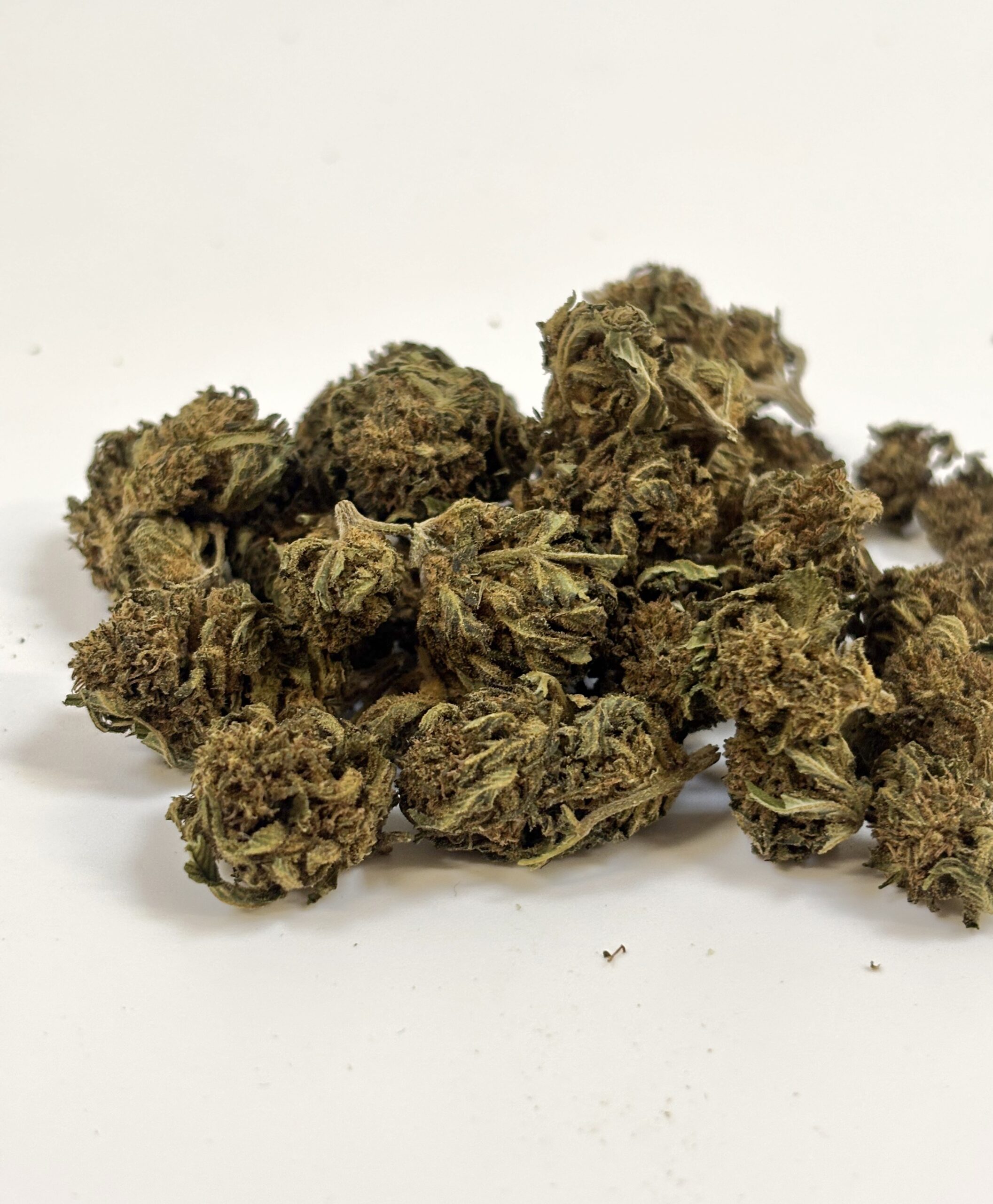 💥 NEW ! Gorilla Kush Small buds – Greenhouse française